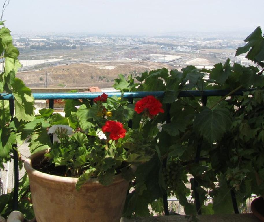 The Artist'S House Overlooking The Bay Of Haifa Exterior photo